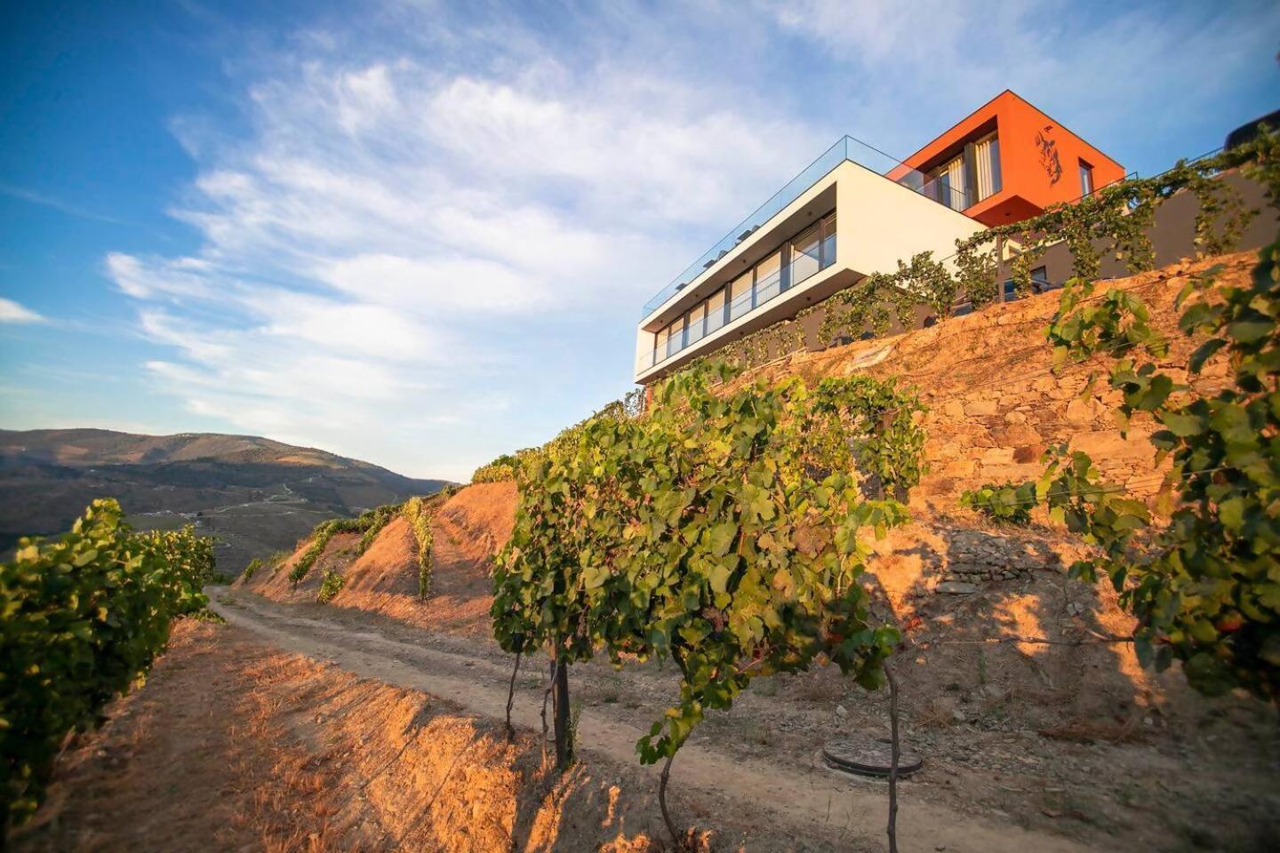 Quinta Vale De Lobos Bed & Breakfast Folgosa  ภายนอก รูปภาพ
